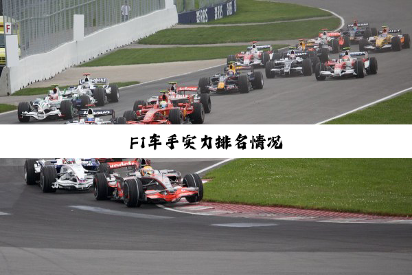 F1车手实力排名情况