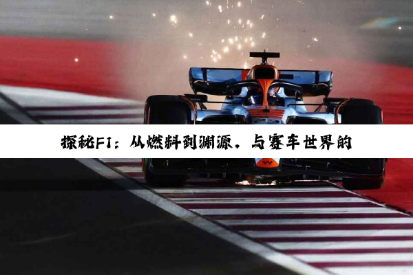 【科普解答】探秘F1：从燃料到渊源，与赛车世界的深度对话